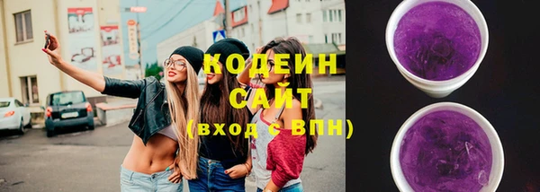 соль ск Зеленодольск