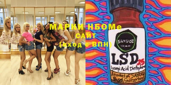 хмурый Инсар