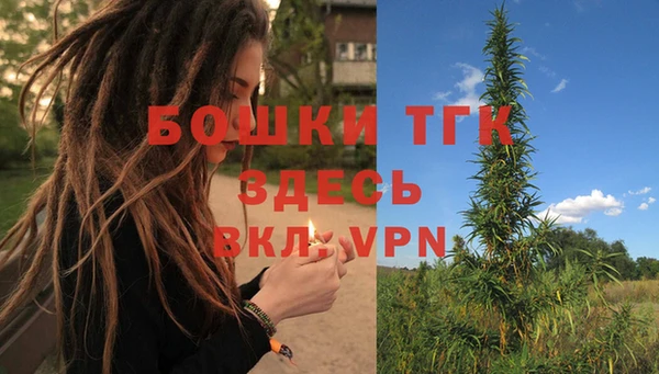 соль ск Зеленодольск