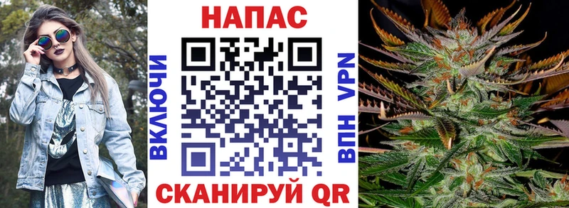 Купить где  Зубцов  Канабис конопля 